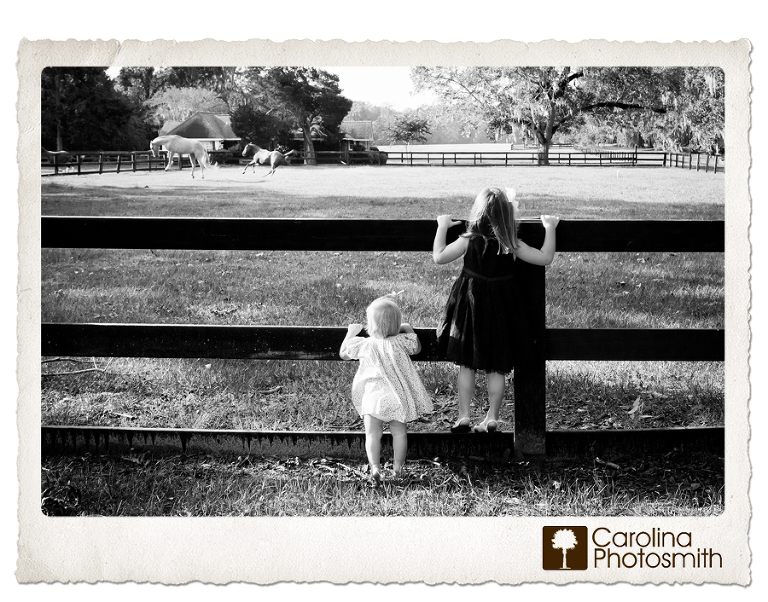 Sisters peer through the fence to watch horses at Boone Hall Plantation