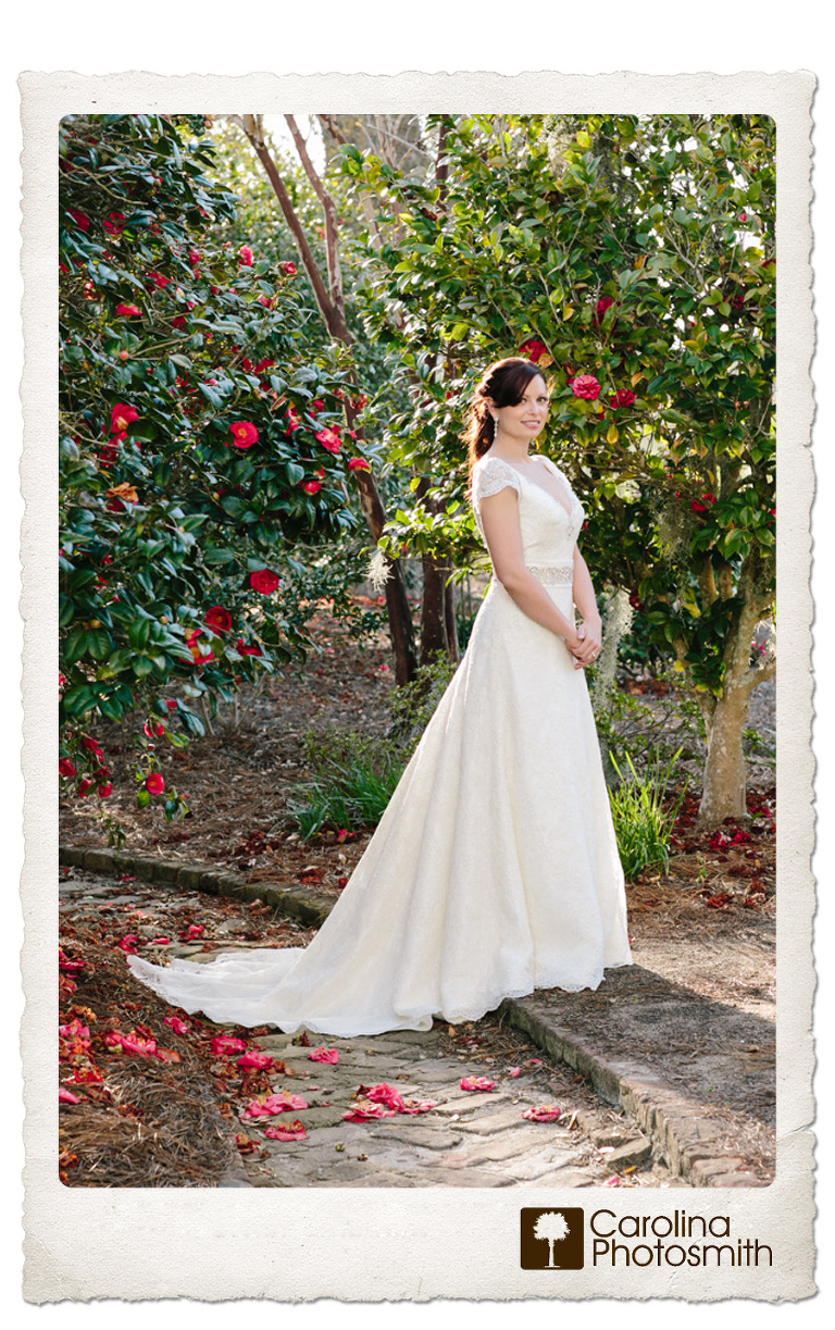Charleston bride in camellias at Boone Hall. Natural, vibrant portraiture by Carolina Photosmith