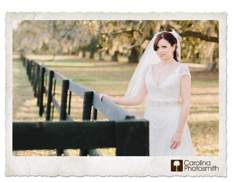 Backlit bride by a sunlit pasture at Boone Hall. Copyright Carolina Photosmith.