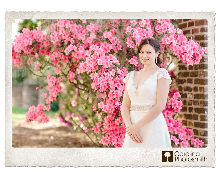 Wearing a lace v-neck gown from the Gown Boutique of Charleston, this bride posed amid plantation azaleas. © Carolina Photosmith