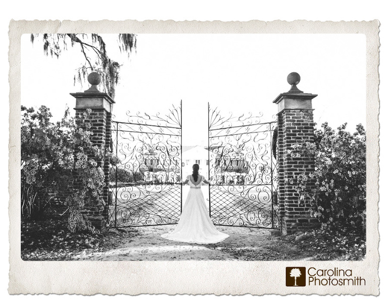 As seen in The Notebook. Beautiful bride looks like she owns the place. Wrought iron gates at Boone Hall. © Carolina Photosmith