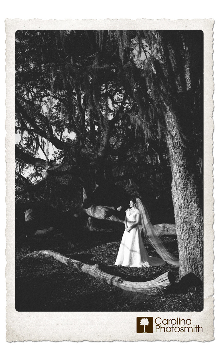 Bride is aglow amid mossy oaks on a spring afternoon in Charleston. Dramatic bridal portrait by Carolina Photosmith. 