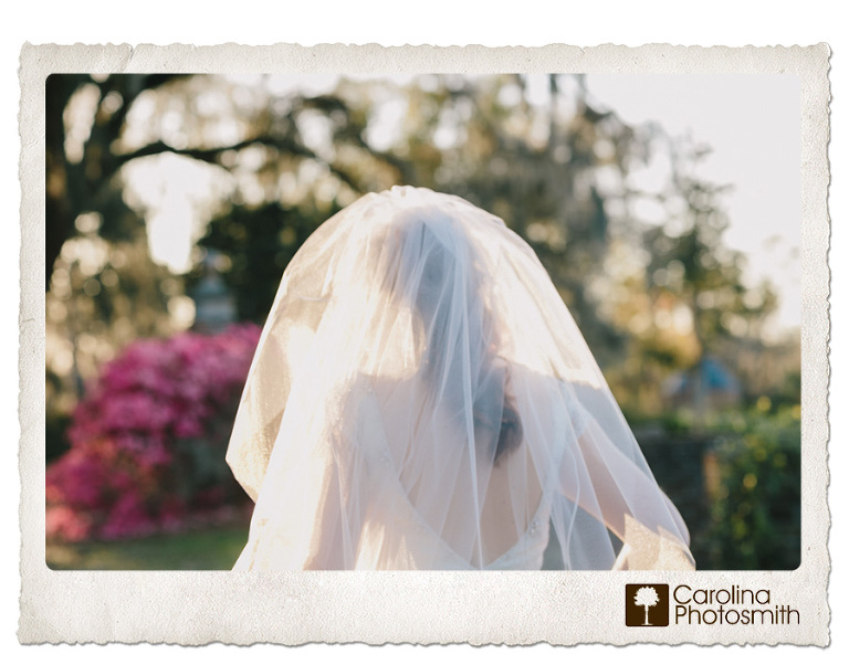 Veiled bride on a Charleston spring afternoon full of golden light. CarolinaPhotosmith.com