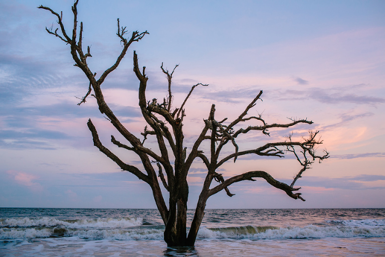 Beach bliss at Botany Bay. Pristine, wild, nature galore. © Carolina Photosmith