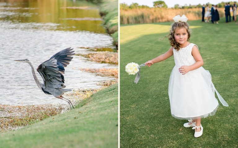 Elegant Blue Heron takes flight like the adorable flower girl.