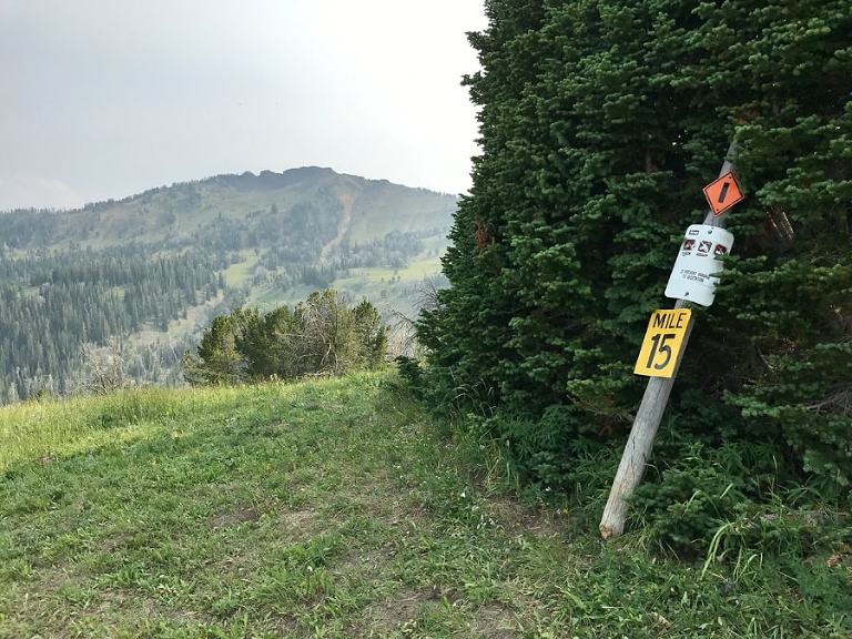 Great spot to sip Prosecco and eat Flathead cherries before returning to lower elevations in the valley.